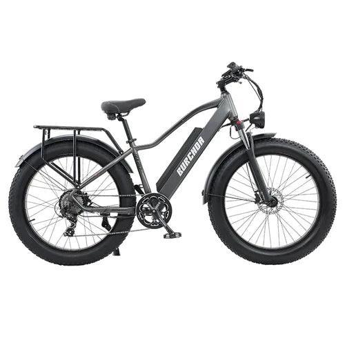 BURCHDA RX20 All-terrain Fat Tire Electric Bike - Pogo Cycles