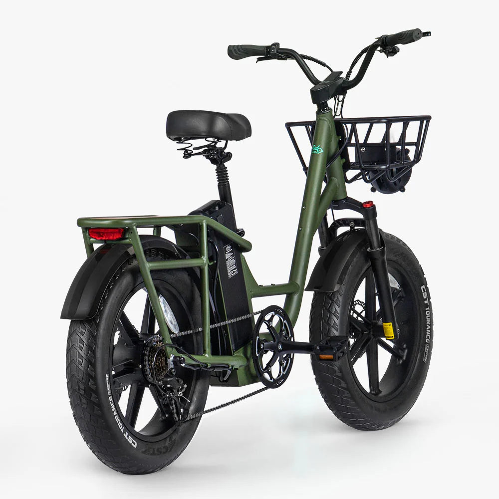 FIIDO T1 pro v2 upgraded Cargo Electric Bike - Pogo Cycles