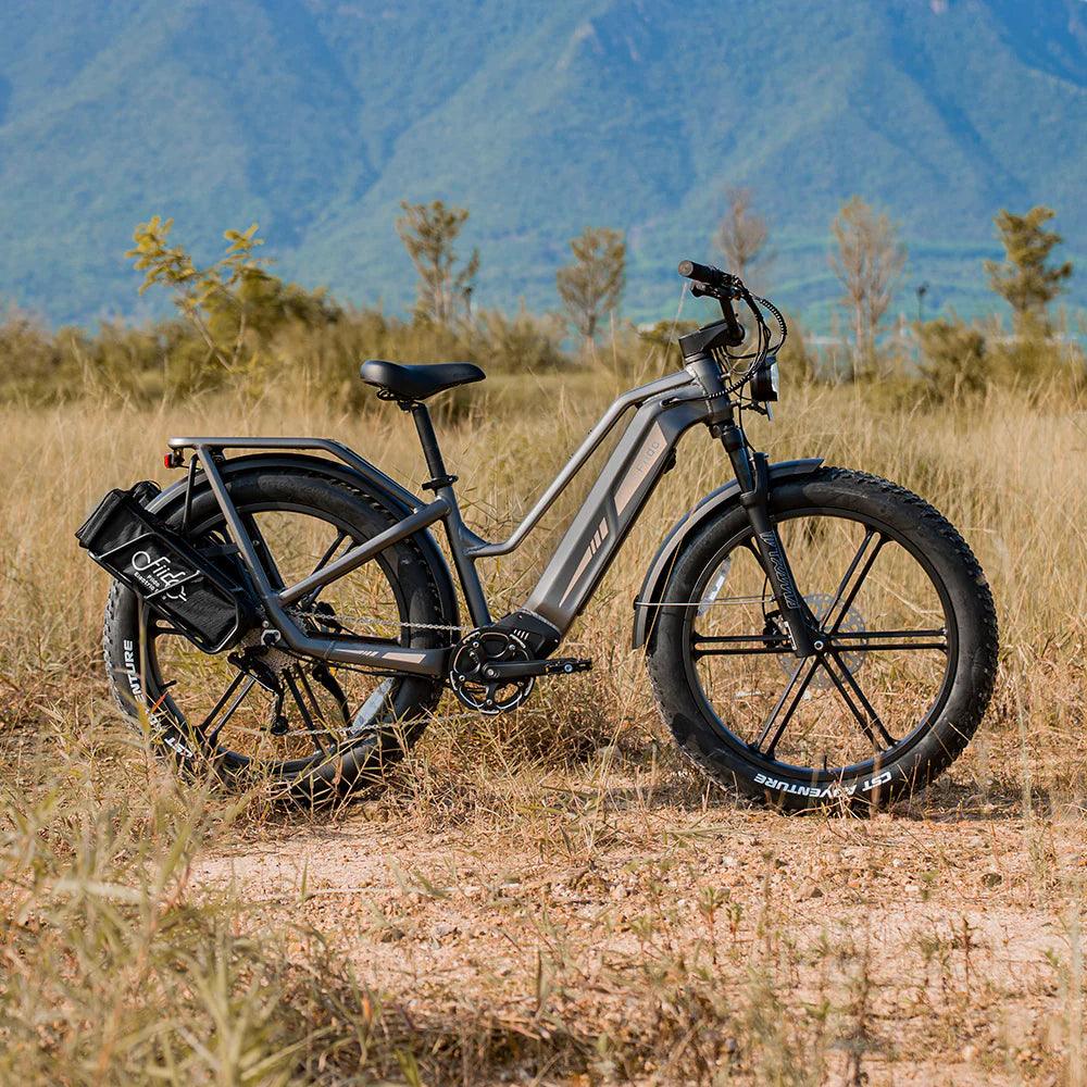 Fiido Titan Robust Cargo Electric Bike - Pogo Cycles